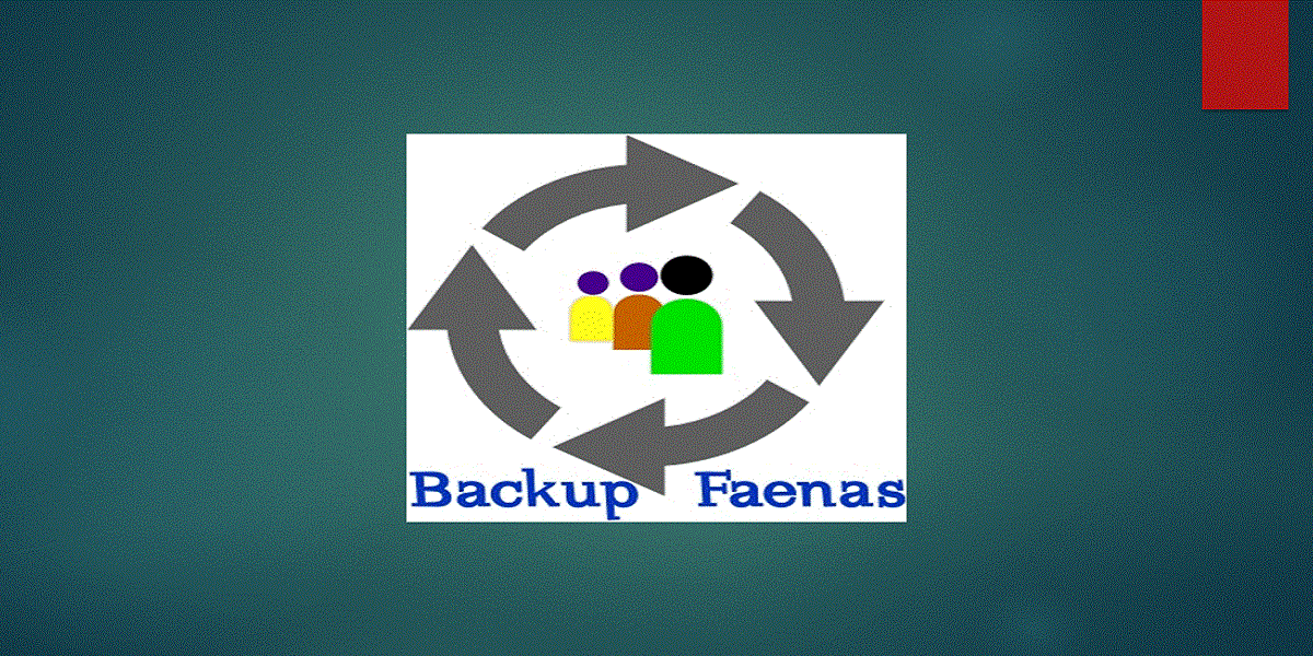 backup faena web