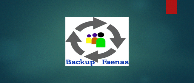 backup faena web