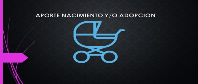 aporte adopcion y nacimiento
